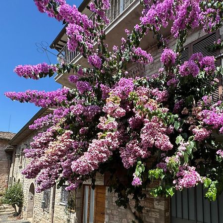 La Bouganville Assisi Esterno foto